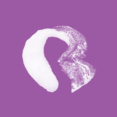 Audio—Track 10/12—Shared Purpose & Harmony in Relationship mp3 - Image 2