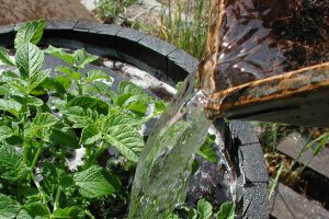 Grow with higher consciousness photo image pouring water to nourish plants